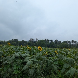 PXL_20240818_183742464.jpg